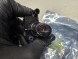 BMW OE HOLOGRAM LUSTERKA PROJEKTOR BMW X1 U11 X2 U10 21994368 NOWY QUALI0507 ГОЛОГРАМА ДЗЕРКАЛА ПРОЄКТОР BMW X1 U11 X2 U10 21994368