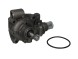 V-maxzone Part VIC-124109 Насос охолоджуючої рідини DOLZ B114 для IVECO DAILY I, DAILY II
