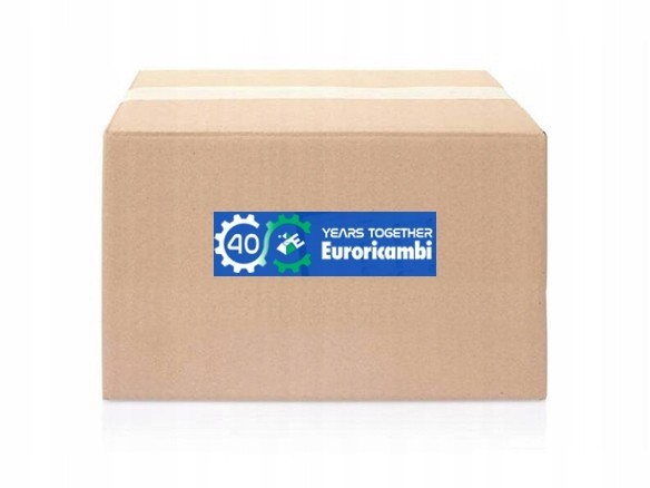 Euroricambi Ремонтний комплект планетарної передачі EURORICAMBI 60533097