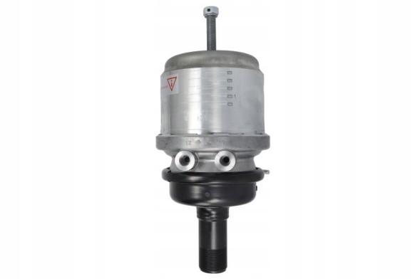 DT Spare Parts 41211077 IVECO 7.34237 Гальмівний циліндр (мембранний) 41211077 DT Spare Parts; IVECO