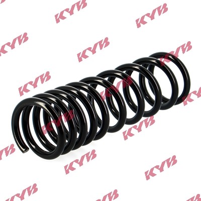 RA6204 KYB Пружина