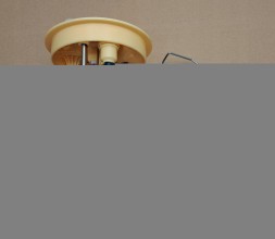 Ford OE F1F1-9H307-AA 0580203165 Оригінал ford паливний насос bosch f1f1-9х307-aa 0580203165