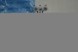 Volvo OE 31272620 Паливопроводи 2.4 d5 volvo v70 s60 xc90 s40 c30 v50 2006- oe 31272620