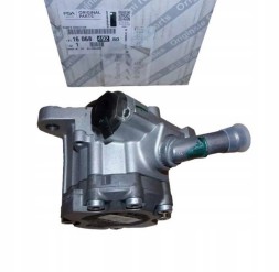 Peugeot OE Насос ГУР 1606849280 Citroen Peugeot Orig