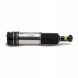 Arnott AS-298 10 2x повітряні амортизатори Arnott REAR L+R для BMW 7 E65 E66 E67