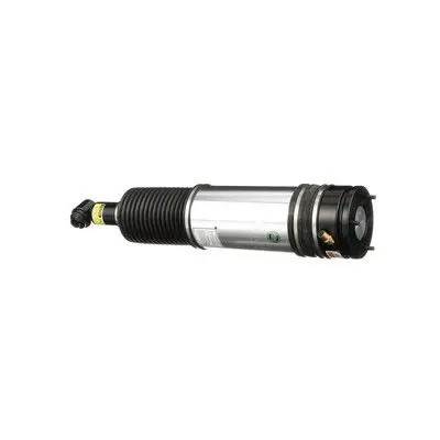 Arnott AS-298 10 2x повітряні амортизатори Arnott REAR L+R для BMW 7 E65 E66 E67