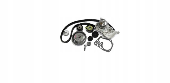 Renault OE 119A00397R Renault oe 119a00397r водяний насос + комплект ременя грм