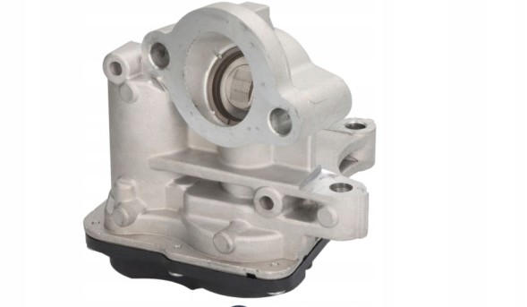 Китай 165 КЛАПАН EGR RENAULT GRAND SCENIC III, MEGANE III, SCENIC III 1.6D