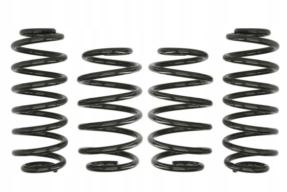Eibach E10-85-016-04-22 Eibach пружини понижувальні 4 шт pro-kit e10-85-016-04-22 vw passat b6, pa