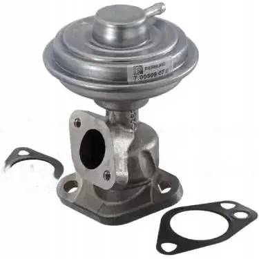Pierburg 7.00309.07.0 Клапан egr agr 7.00309.07.0 pierburg audi