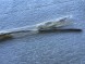 BMW OE 51337182281 51 33 7 182 281 51-33-7-182-281 Listwa nakładka ozdobna ochronna lewej lewa lewy lewego przednia przodu przedniego LH L Lh lh l OE Oe oe НОВА ОРИГ. ПЛАНКА СКЛА ПЕРЕДНІХ ДВЕРЕЙ BMW 5 F10 F11 F18 ЛІВА ВЕРХНЯ ПЕРЕДНЯ