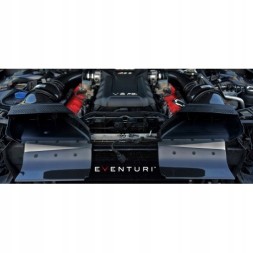 Eventuri EVE-RS5-INT-1 AUDI RS5 B8 BLACK CARBON INTAKE EVENTURI впускний
