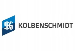 Kolbenschmidt 77950610 Kolbenschmidt 77950610 комплект підшипників шатуна