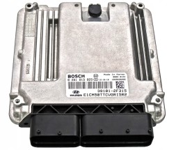 OE 39101-2F315 0 281 019 029 КОМП'ЮТЕР ECU HYUNDAI KIA 39101-2F315 0281019029