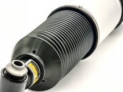 Proteile 37126785537 Airautopl BMW 7 E65 E66 АМОРТИЗАТОР ЛІВИЙ ЗАДНІЙ ПНЕВМАТИЧНИЙ NIVO КОМПЛЕКТНИЙ