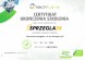 Valeo 837411 Двомасове зчеплення hyundai i40 1.7 crdi