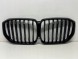 BMW OE 20240015061 vad Решітка радіатора BMW X4 G05, чорний глянець, 20240015061