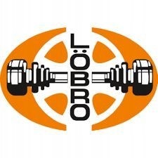 Lobro 305728 Löbro 305728 піввісь bmw