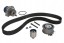 SKF VKMC 01250-2 Комплект грм (ремінь + натягувач + помпа охолоджуючої рідини) audi a2, a3 ford galaxy seat
