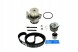 SKF VKMC 01250-2 Комплект грм (ремінь + натягувач + помпа охолоджуючої рідини) audi a2, a3 ford galaxy seat