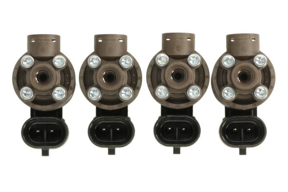 V-maxzone Part VIC-439424 Рейка газових форсунок LPG