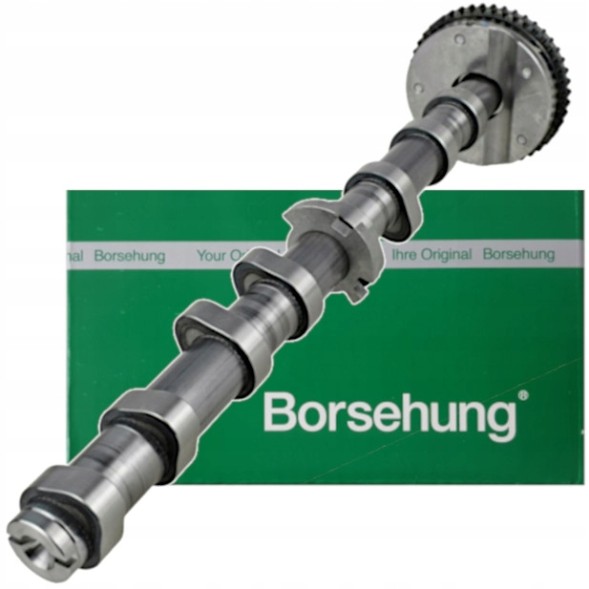 Borsehung 06H109021C РОЗДІЛВАЛ 2.0 TSI TFSI AUDI SEAT SKODA VW BORSEHUNG НІМЕЧЧИНА