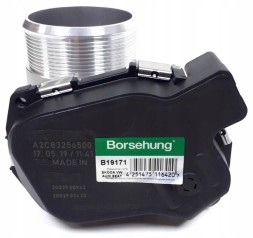 Borsehung B19171 Дросель audi seat skoda vw 1.8 2.0 tsi tfsi b19171