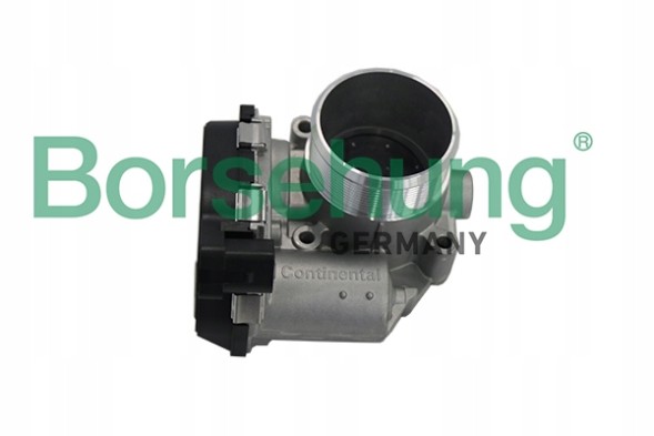 Borsehung B19171 Дросель audi seat skoda vw 1.8 2.0 tsi tfsi b19171