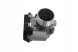 Borsehung B19171 Дросель audi seat skoda vw 1.8 2.0 tsi tfsi b19171