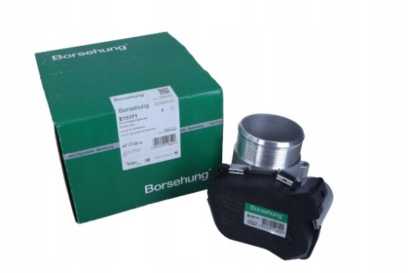 Borsehung B19171 Дросель audi seat skoda vw 1.8 2.0 tsi tfsi b19171