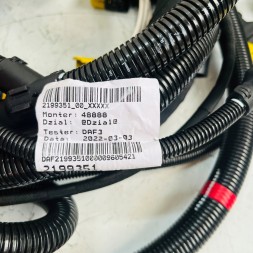 DAF OE ПРОВОД ДВИГУНА DAF XF 106 EURO 6 2199351/00