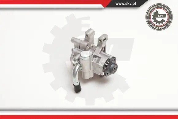 ESEN SKV 10SKV106 Насос гідропідсилювача 10skv106 esen skv ford transit