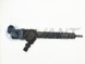NANT Diesel Fuel Injector Engine Assembly Injection Valves with Strict Pre-Shipment Testing 0445110417