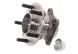 SKF SKF VKBA 7544 МАТОЧИНА КОЛЕСА ПІДШИПНИК ЗАДНЬОЇ ЧАСТИНИ MAZDA CX-7 ER 2006 - 2013 4WD / AWD