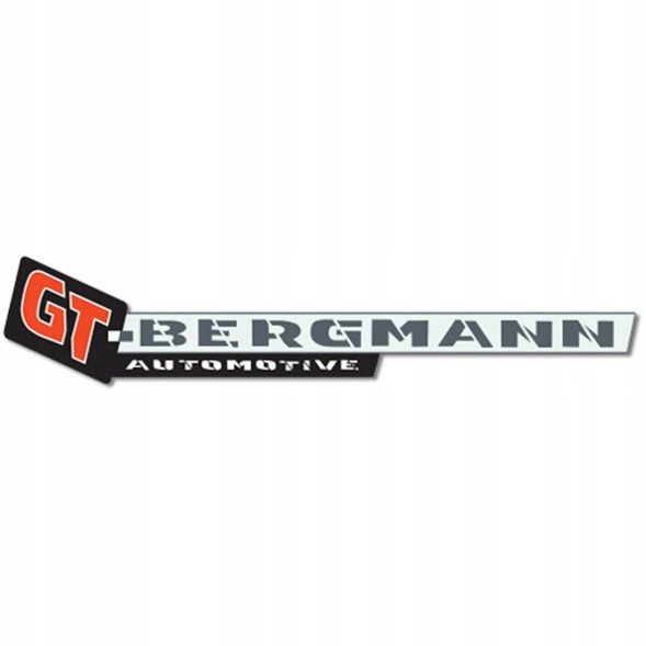 GT-Bergmann GT30-018 Рульовий механізм gt-bergmann gt30-018