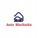 Blic 38521-1/2 HONDA CIVIC СЕДАН 06-11 ПОРІГ ПОРОГИ ЛЕ+ПР KPL