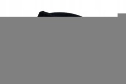Maxgear AC259285 Вентилятор радіатора ac259285 maxgear citroen