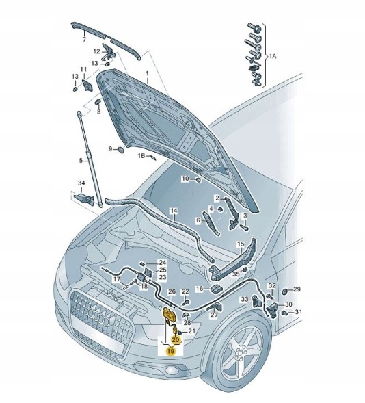 Audi OE 8U0823509A01C ЗАМОК КАПОТА ПЕРЕДНІЙ ЛІВИЙ ПРАВ ОРИГІНАЛЬНИЙ AUDI Q3 ASO