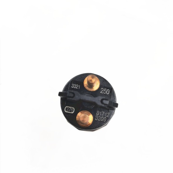 New Diesel Fuel Common Rail Injector Control Valve Stainless Steel 0445120250 Engine Application Fuel System