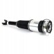 Arnott AS-303 10 2x повітряні амортизатори Arnott REAR L+R для AUDI A8 D3