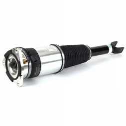Arnott AS-303 10 2x повітряні амортизатори Arnott REAR L+R для AUDI A8 D3