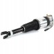 Arnott AS-303 10 2x повітряні амортизатори Arnott REAR L+R для AUDI A8 D3