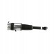 Arnott AS-303 10 2x повітряні амортизатори Arnott REAR L+R для AUDI A8 D3