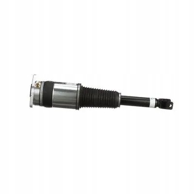 Arnott AS-303 10 2x повітряні амортизатори Arnott REAR L+R для AUDI A8 D3