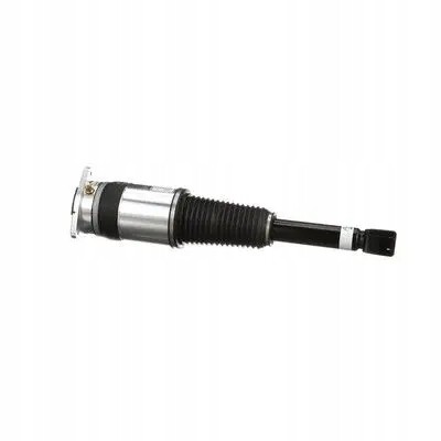 Arnott AS-303 10 2x повітряні амортизатори Arnott REAR L+R для AUDI A8 D3