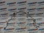 BMW OE 8096112 7622231 Bmw g05 g06 g07 g09 f95 f96 s68 шнур подачі палива 8096112