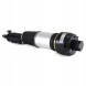 Arnott AS-224 65 2x повітряні амортизатори Arnott FRONT L+R для MERCEDES-BENZ CLS (C219)