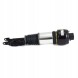 Arnott AS-224 65 2x повітряні амортизатори Arnott FRONT L+R для MERCEDES-BENZ CLS (C219)