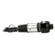 Arnott AS-224 65 2x повітряні амортизатори Arnott FRONT L+R для MERCEDES-BENZ CLS (C219)