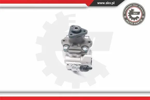 ESEN SKV 10SKV187 Насос гідропідсилювача 10skv187 esen skv